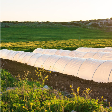 大棚专用PP无纺布