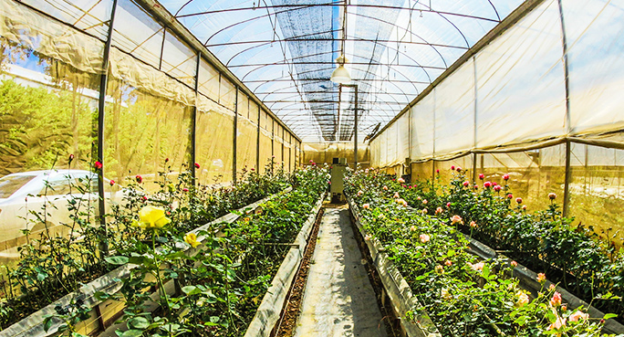 农用边坡绿化无纺布，汽车内饰无纺布，家具家居无纺布，农用边坡绿化无纺布厂家，汽车内饰无纺布生产，新澳门全年免费原料网