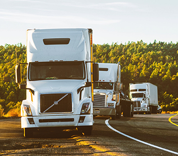 新澳门全年免费原料网