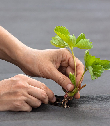 农用边坡绿化无纺布，汽车内饰无纺布，家具家居无纺布，农用边坡绿化无纺布厂家，汽车内饰无纺布生产，新澳门全年免费原料网