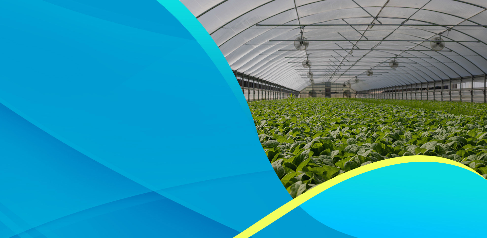 新澳门全年免费原料网